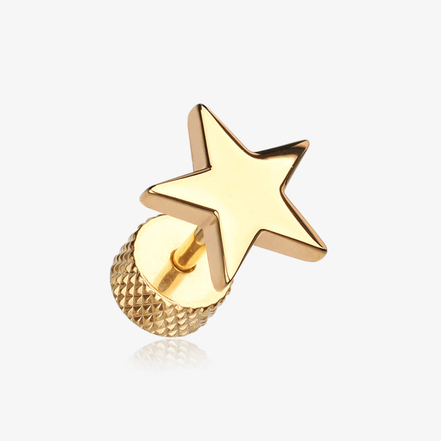 A Pair of Golden Nova Star Steel Fake Plug Earring