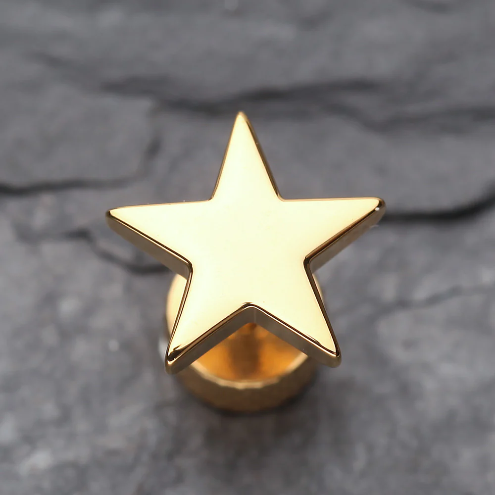 A Pair of Golden Nova Star Steel Fake Plug Earring - Image 3