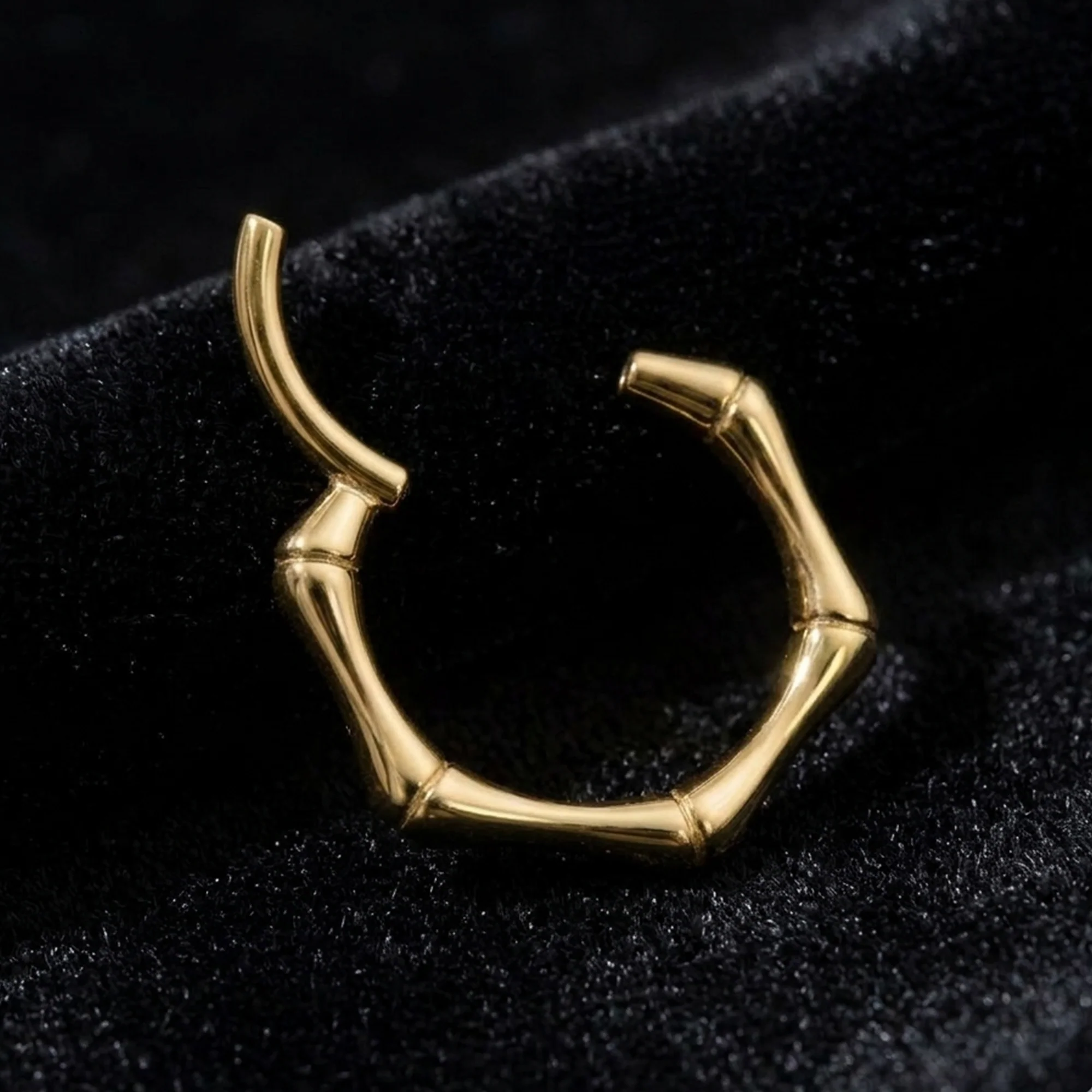 Implant Grade Titanium Golden Bones Clicker Hoop Ring - Image 3