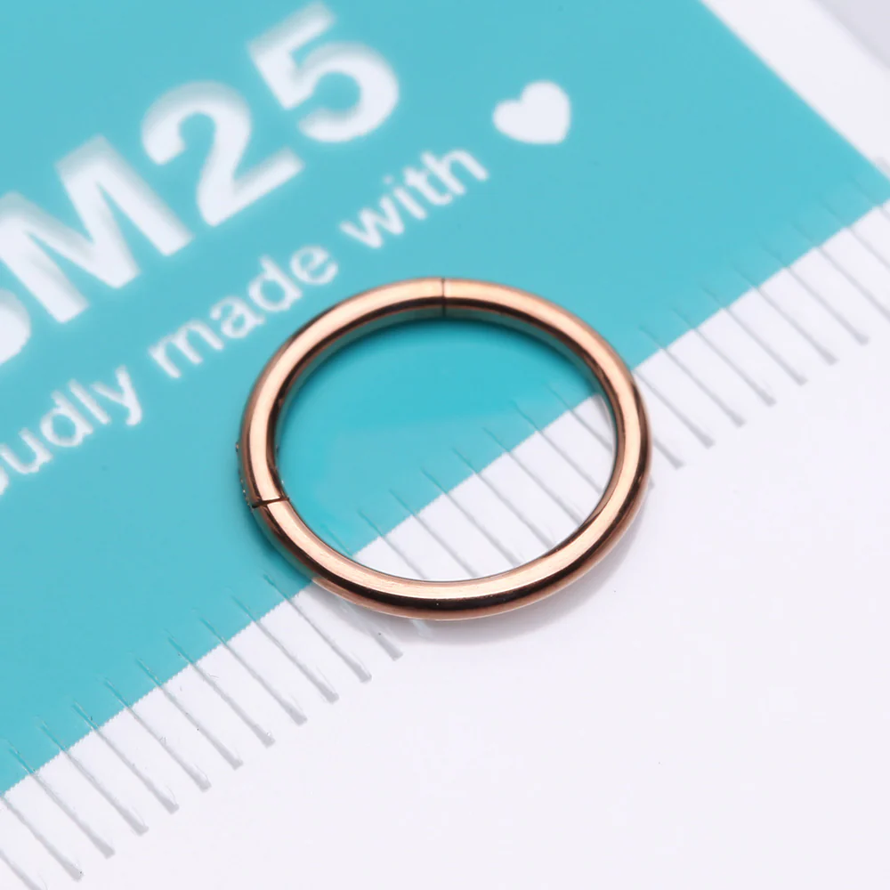 Implant Grade Titanium PVD Rose Gold Basic Seamless Hinged Clicker Hoop Ring - Image 5