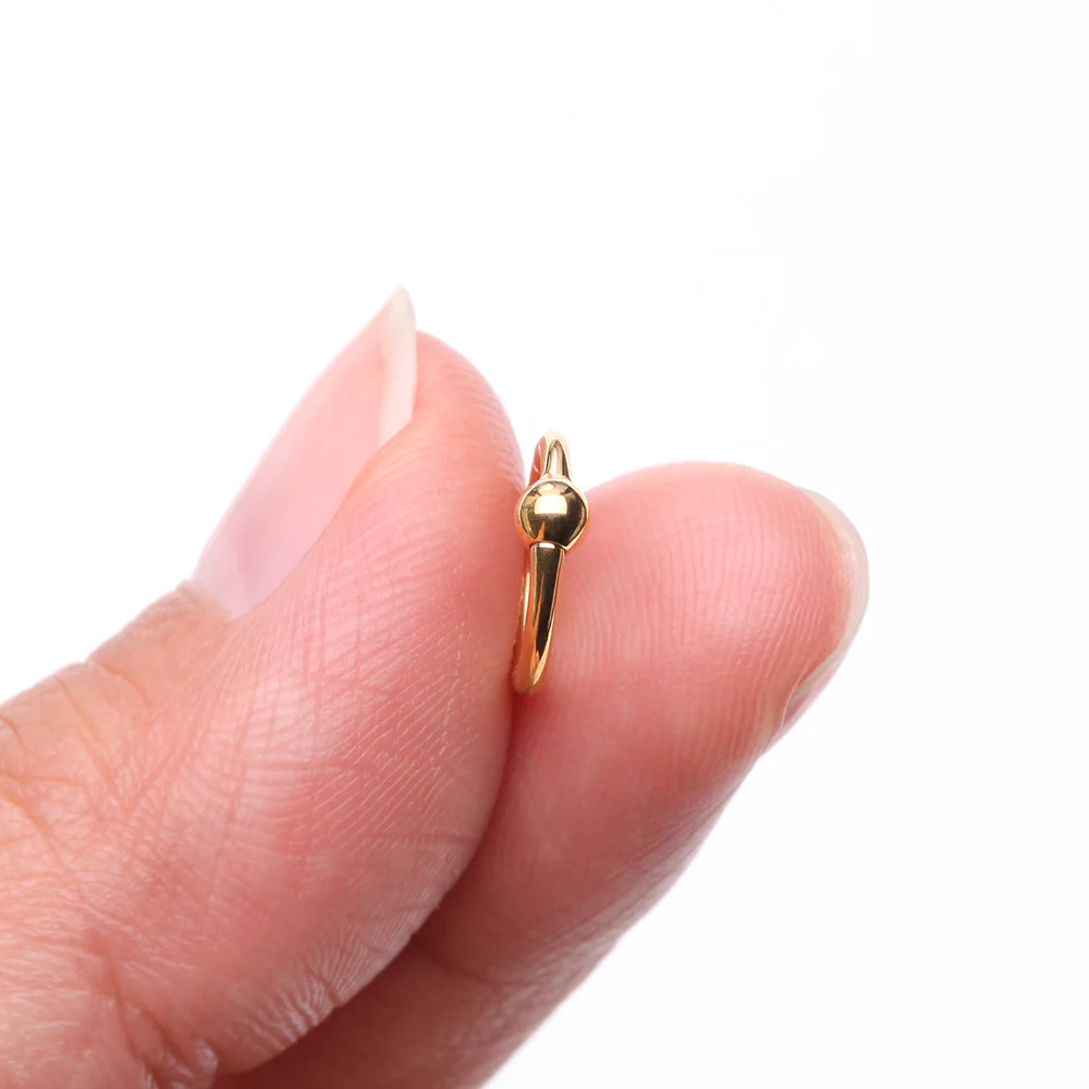 Pure24K Implant Grade Titanium Basic CBR Style Seamless Clicker Hoop Ring - Image 3