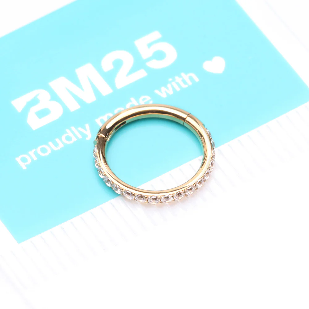 Pure24K Implant Grade Titanium Brilliant Sparkle Gems Lined Seamless Clicker Hoop Ring - Image 5