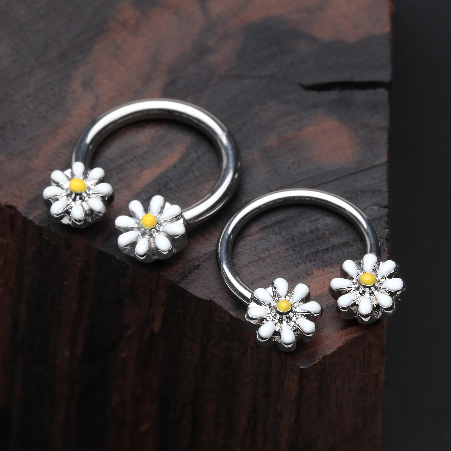 Sweet Dainty Daisy Steel Horseshoe Circular Barbell - Image 2